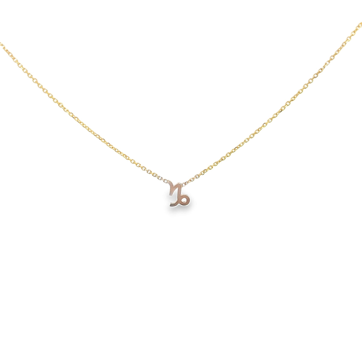 Zodiac Necklace